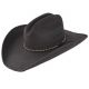 Resistol Men’s Jason Aldean Asphalt Cowboy Palm Hat